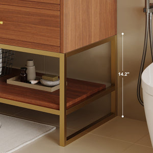 English Elm 29.9" Freestanding Bathroom Vanity Sintered Top Ceramic Sink Soft-close Drawers Small Bath Gold, Walnut, White - A W3136S00113