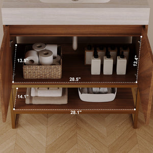 English Elm 29.9" Freestanding Bathroom Vanity Sintered Top Ceramic Sink Soft-close Drawers Small Bath Brown / Stone Gray W3136S00120