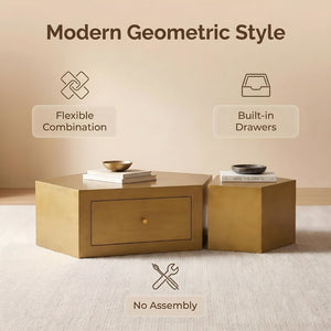 English Elm Modern Brushed Brass Nesting Coffee Tables Set of 2 with Drawer Boho Living Room W3456S00059