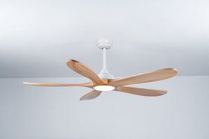 English Elm 52 Inch Natural Wood Blade Ceiling Fan with Dimmable LED Remote and DC Motor W3727P508286