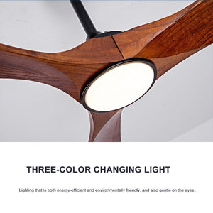 English Elm 52 Inch Matte Black Smart Ceiling Fan Dimmable Light Quiet DC Motor Indoor Outdoor W3727P508558