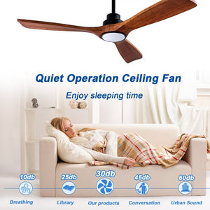 English Elm Ceiling Fan with Sycamore Wood Blades Quiet DC Motor Remote Indoor Outdoor Farmhouse W3727P508560