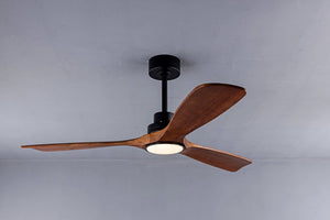 English Elm Ceiling Fan with Sycamore Wood Blades Quiet DC Motor Remote Indoor Outdoor Farmhouse W3727P508560