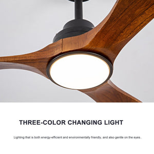 English Elm 52 Inch Ceiling Fan with Sycamore Wood Blades Dimmable LED and 6 Speed Reversible Motor W3727P508572