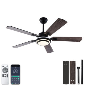 English Elm 52 Inch Sycamore Wood Blade Ceiling Fan with LED Light and Remote for Large Rooms W3727P511387