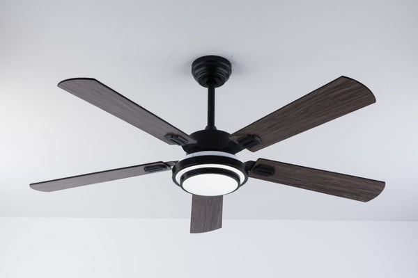English Elm 52 Inch Sycamore Wood Blade Ceiling Fan with LED Light and Remote for Large Rooms W3727P511387