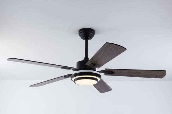 English Elm 52 Inch Sycamore Wood Blade Ceiling Fan with LED Light and Remote for Large Rooms W3727P511387