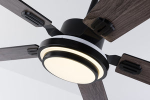 English Elm 52 Inch Sycamore Wood Blade Ceiling Fan with LED Light and Remote for Large Rooms W3727P511387