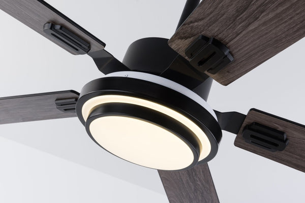 English Elm 52 Inch Sycamore Wood Blade Ceiling Fan with LED Light and Remote for Large Rooms W3727P511387