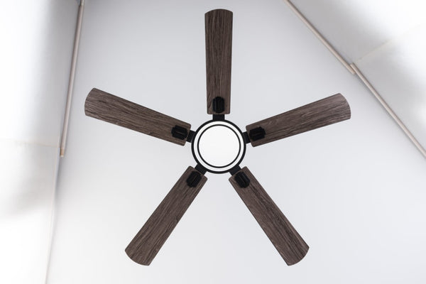 English Elm 52 Inch Sycamore Wood Blade Ceiling Fan with LED Light and Remote for Large Rooms W3727P511387