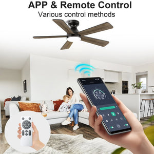 English Elm Ceiling Fan with Dimmable Light Flush Mount 52 Inch Quiet DC Motor Indoor Outdoor Black W3727P511414
