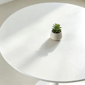 English Elm 42.1White Tulip Pedestal Round Dining Table Mid-Century MDF Top Seats Four to Six White W3766P558299