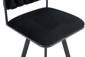 English Elm Sn-C-Rpmd2in1-Bg Velvet Accent Chair Fade Resistant Foam Cushion Modern Living Room Seat Black W3875P385204