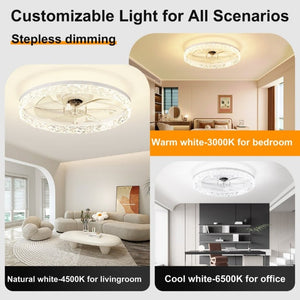 English Elm 23.6 Inch Compact Ceiling Fan with Dimmable LED Light App Control for Small Rooms W3886P506739