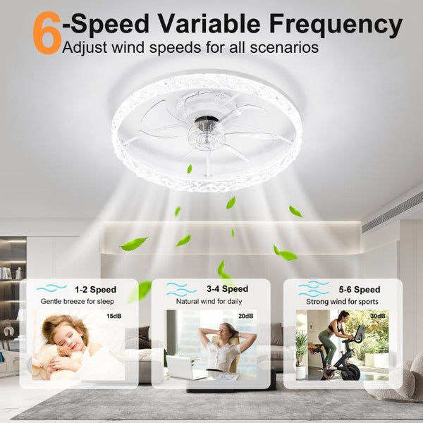 English Elm 23.6 Inch Compact Ceiling Fan with Dimmable LED Light App Control for Small Rooms W3886P506739