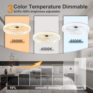 English Elm 23.6 Inch Compact Ceiling Fan with Dimmable LED Light App Control for Small Rooms W3886P506739