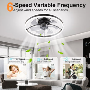English Elm 23.6 Inch Compact Ceiling Fan with Dimmable LED Light Quiet DC Motor App Remote Black W3886P506761