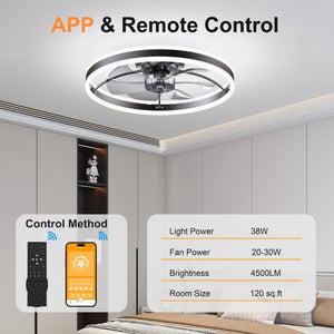 English Elm 23.6 Inch Compact Ceiling Fan with Dimmable LED Light Quiet DC Motor App Remote Black W3886P506761