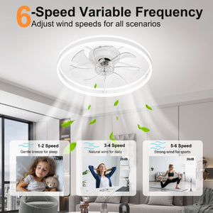 English Elm 23.6 Inch Compact Ceiling Fan with Dimmable LED Light Quiet DC Motor App Remote White W3886P506763
