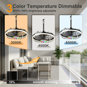 English Elm 19.7 Inch IP65 Flush Mount Outdoor Ceiling Fan with RGB Dimmable LED Patio Light W3886P506777