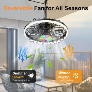 English Elm 19.7 Inch IP65 Flush Mount Outdoor Ceiling Fan with RGB Dimmable LED Patio Light W3886P506777