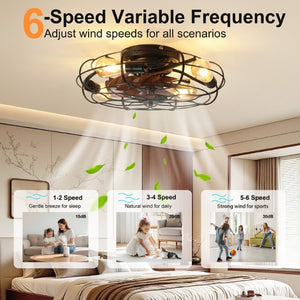 English Elm 19.7 Inch Industrial Caged Ceiling Fan with Wood Grain Blades and Remote for Small Rooms W3886P506783