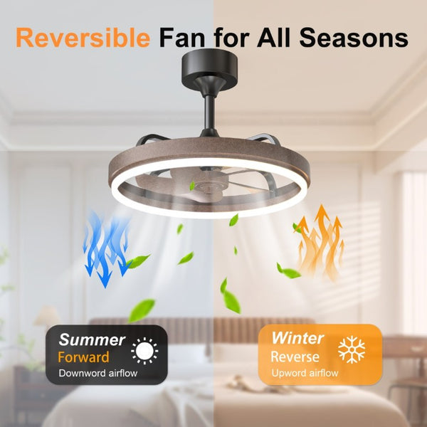English Elm 20.5 Inch Modern Fandelier with Dimmable LED Panel DC Motor App Control Brown Finish W3886P506856