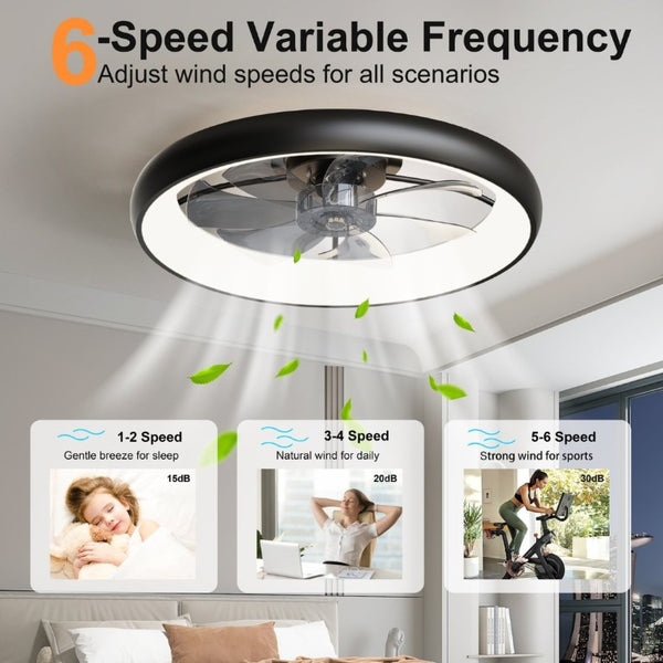 English Elm 24.4 Inch Flush Mount Matte Black Fandelier with Dimmable LED and App Control W3886P506868