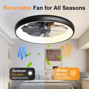 English Elm 24.4 Inch Flush Mount Matte Black Fandelier with Dimmable LED and App Control W3886P506868