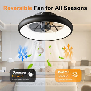 English Elm 19.3 Inch Flush Mount Ceiling Fan RGB LED Light Matte Black Low Profile Bedroom W3886P506877