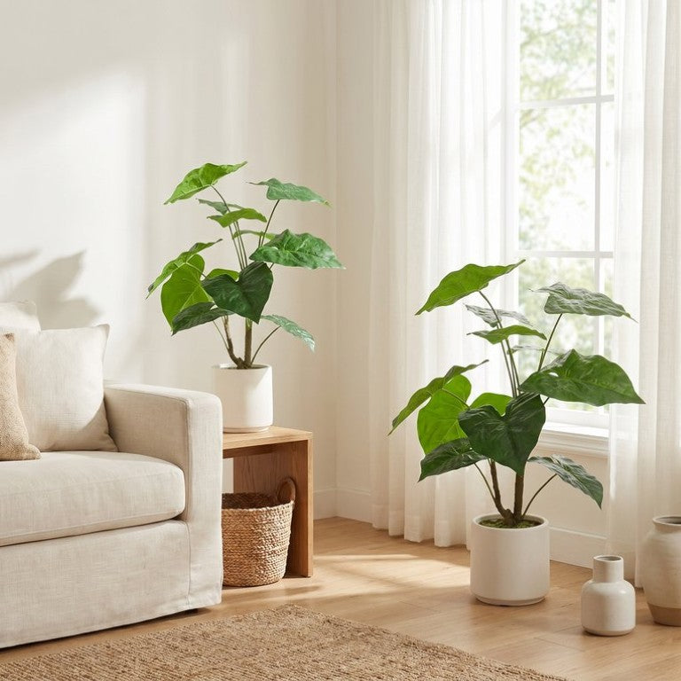 English Elm 30 Inch Faux Alocasia Tropical Leaf Plant Set of Two with Modern White Ceramic Pots W3912P443997