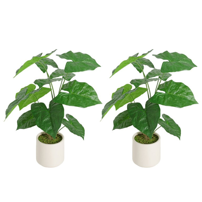 English Elm 30 Inch Faux Alocasia Tropical Leaf Plant Set of Two with Modern White Ceramic Pots W3912P443997