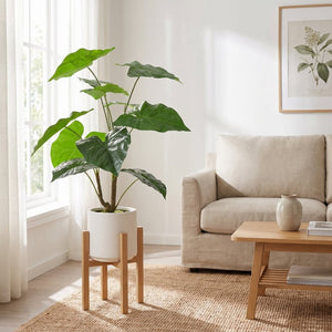English Elm 30 Inch Faux Alocasia Tropical Leaf Plant Set of Two with Modern White Ceramic Pots W3912P443997