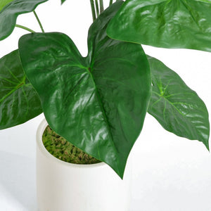 English Elm 30 Inch Faux Alocasia Tropical Leaf Plant Set of Two with Modern White Ceramic Pots W3912P443997