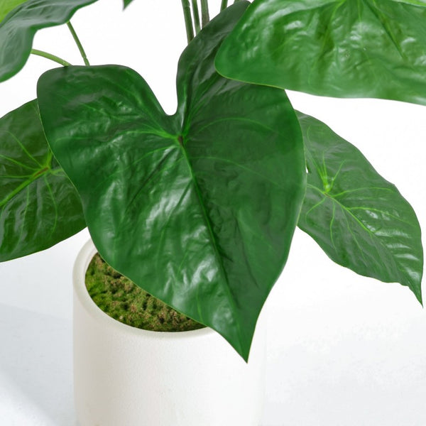 English Elm 30 Inch Faux Alocasia Tropical Leaf Plant Set of Two with Modern White Ceramic Pots W3912P443997