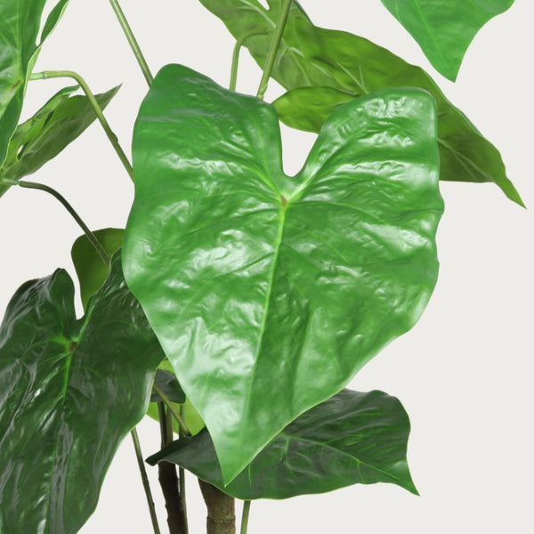 English Elm 30 Inch Faux Alocasia Tropical Leaf Plant Set of Two with Modern White Ceramic Pots W3912P443997
