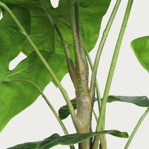English Elm 30 Inch Faux Alocasia Tropical Leaf Plant Set of Two with Modern White Ceramic Pots W3912P443997