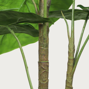 English Elm 30 Inch Faux Alocasia Tropical Leaf Plant Set of Two with Modern White Ceramic Pots W3912P443997