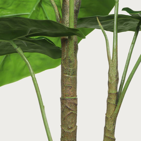English Elm 30 Inch Faux Alocasia Tropical Leaf Plant Set of Two with Modern White Ceramic Pots W3912P443997