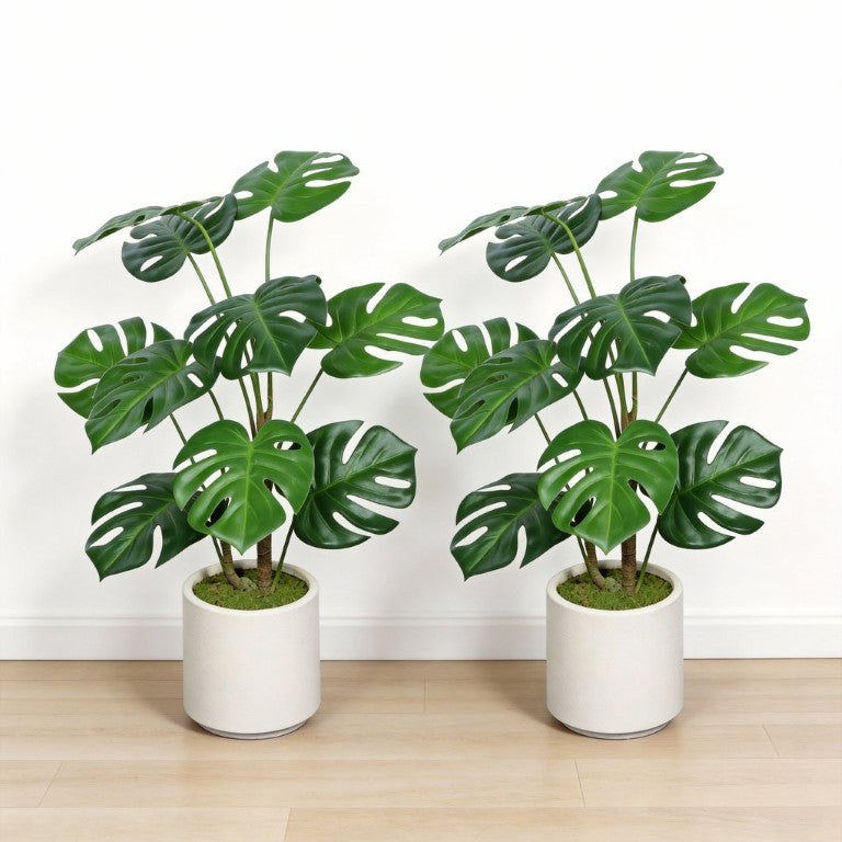 English Elm 6Ft Faux Fiddle Leaf Fig Tree Potted in White Planter with Moss for Modern Indoor Spaces 30 inches W3912P443998