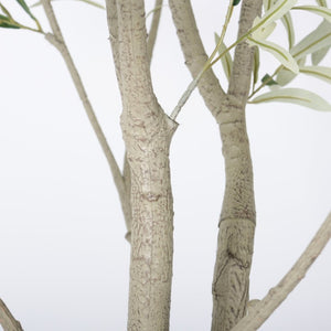 English Elm 8Ft Artificial Olive Tree Sculptural Mediterranean Faux Plant with White Moss Planter W3912P516706