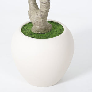 English Elm 8Ft Artificial Olive Tree Sculptural Mediterranean Faux Plant with White Moss Planter W3912P516706