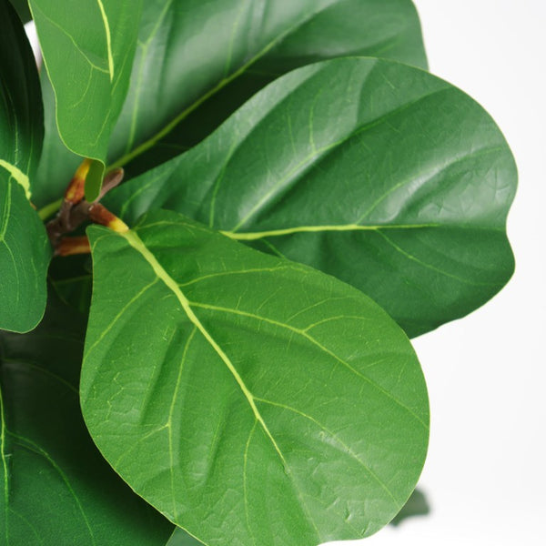 English Elm 6Ft Artificial Fiddle Leaf Fig Faux Tree Potted in Matte Black for Living Rooms W3912P516710