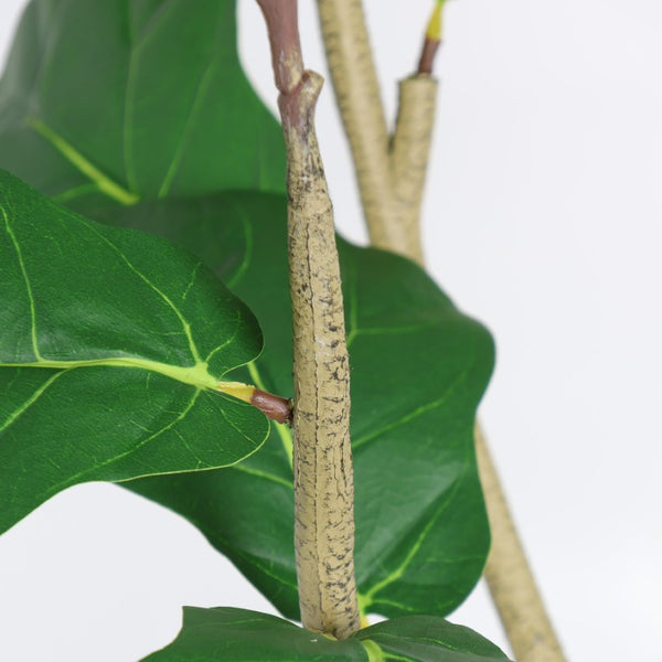 English Elm 6Ft Artificial Fiddle Leaf Fig Faux Tree Potted in Matte Black for Living Rooms W3912P516710