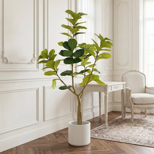English Elm 6Ft Artificial Fiddle Leaf Fig Faux Tree Potted in Matte Black for Living Rooms W3912P516710