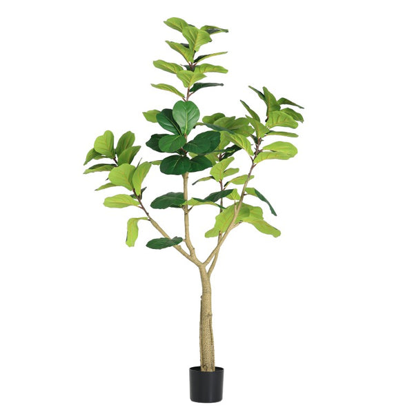 English Elm 6Ft Artificial Fiddle Leaf Fig Faux Tree Potted in Matte Black for Living Rooms W3912P516710