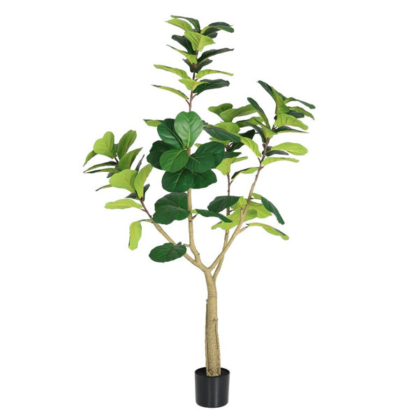 English Elm 6Ft Artificial Fiddle Leaf Fig Faux Tree Potted in Matte Black for Living Rooms W3912P516710