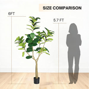 English Elm 6Ft Artificial Fiddle Leaf Fig Faux Tree Potted in Matte Black for Living Rooms W3912P516710