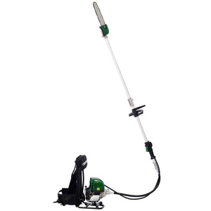 English Elm Backpack 4-stroke 38cc Gas Multi-tool System with Pole Saw and Hedge Trimmer W46561892