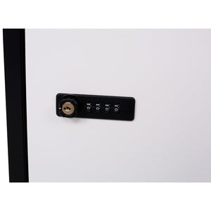 English Elm Package Delivery Box Galvanized Steel Outdoor Parcel Drop with Keyless Lock Secure W46567683